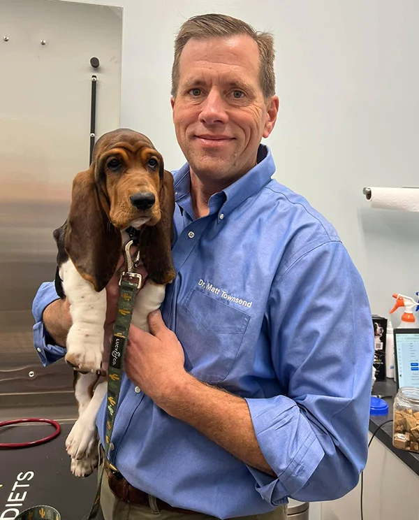 Veterinarian holding a young puppy inside a veterinary exam room with medical equipment in the background.